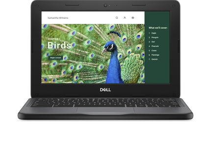 Dell Chromebook 3000 3120 11.6" Clamshell Chromebook - HD - 60 Hz - Intel N-Series N100 - 4 GB - 64 GB Flash Memory - English (US) Keyboard - Gray - Intel Chip - 1366 x 768 - ChromeOS - Intel UHD Graphics - Twisted nematic (TN) - Front Camera/Webcam ...