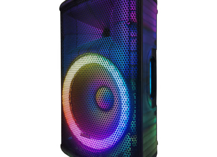 1501 15IN PA SPKR W/T CAB