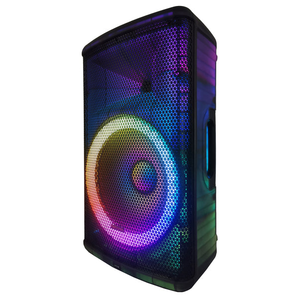 1501 15IN PA SPKR W/T CAB